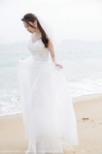 大豆行情网www数据分析